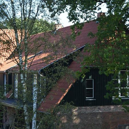 Ferien Hohes Elbufer Hotel Schnakenbek Buitenkant foto